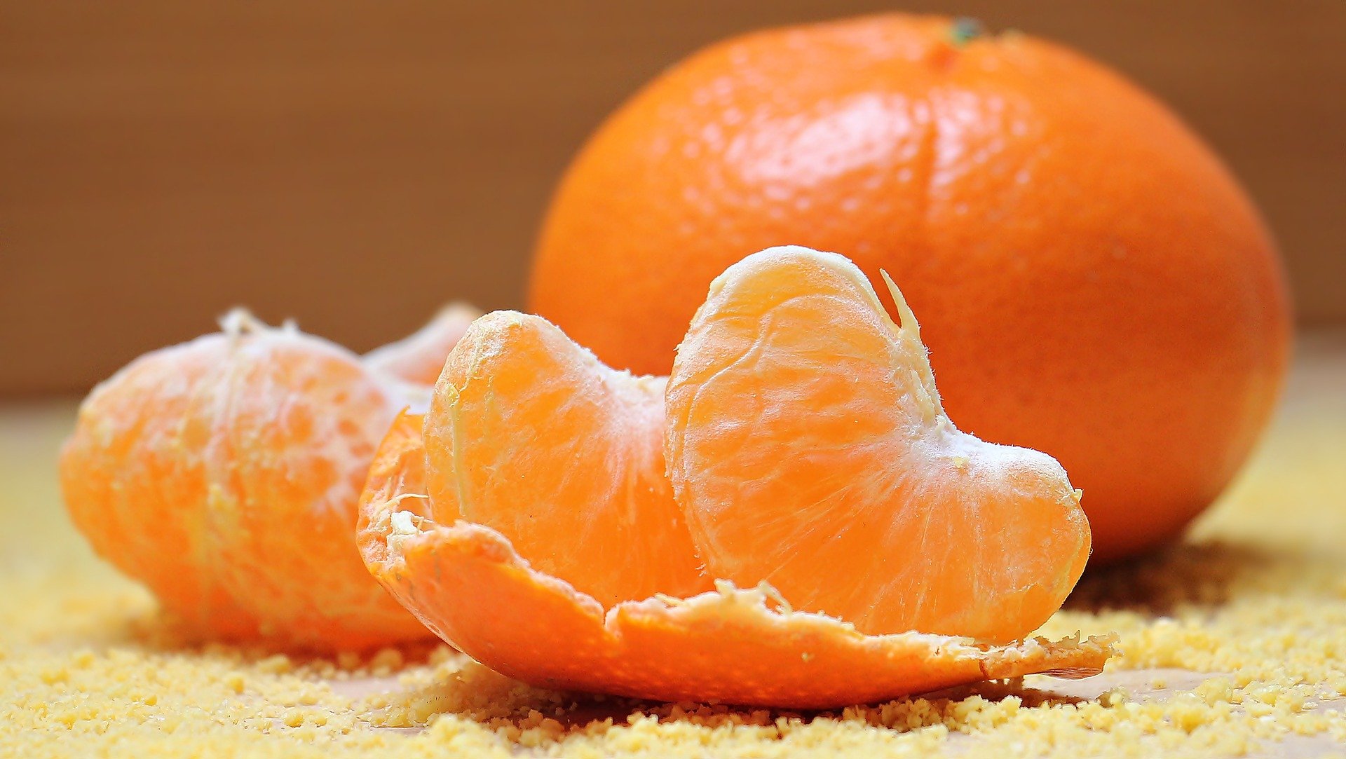 can parrots eat oranges