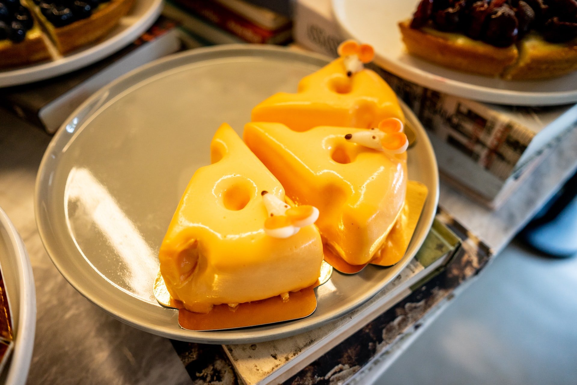 Can Cockatoos Eat Cheese?