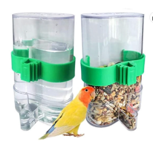 yellow and orange parrot with bird feeder